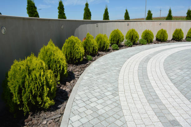 Best Decorative Driveway Pavers  in Apalachicola, FL